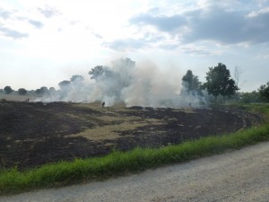 2013-07-19_Brand_Freiflaeche_Uttenhofen 006