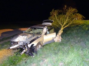 Der initiale Unfallfahrer fällte einen nicht gerade kleinen Baum